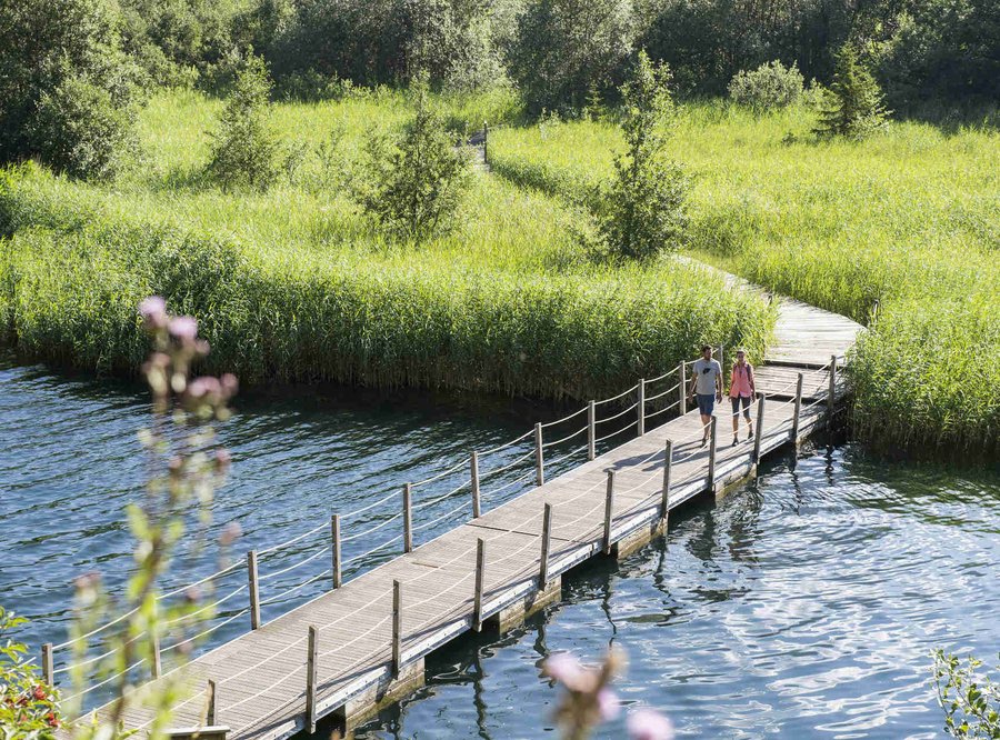 Viatores Cantantes im Vinschgau (Herbst 2026)