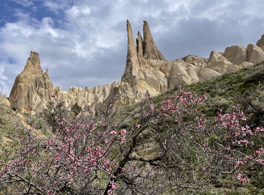 Viatores Cantantes in Zentralanatolien und Kappadokien (Frühjahr 2027)